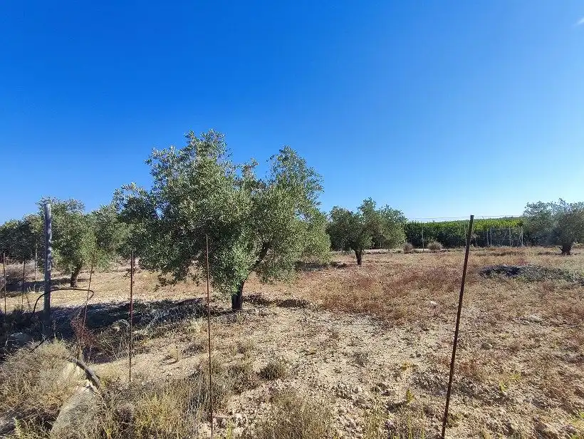 Finca rústica en venda en Tobarra amb Jardí privat, Terrassa i Traster