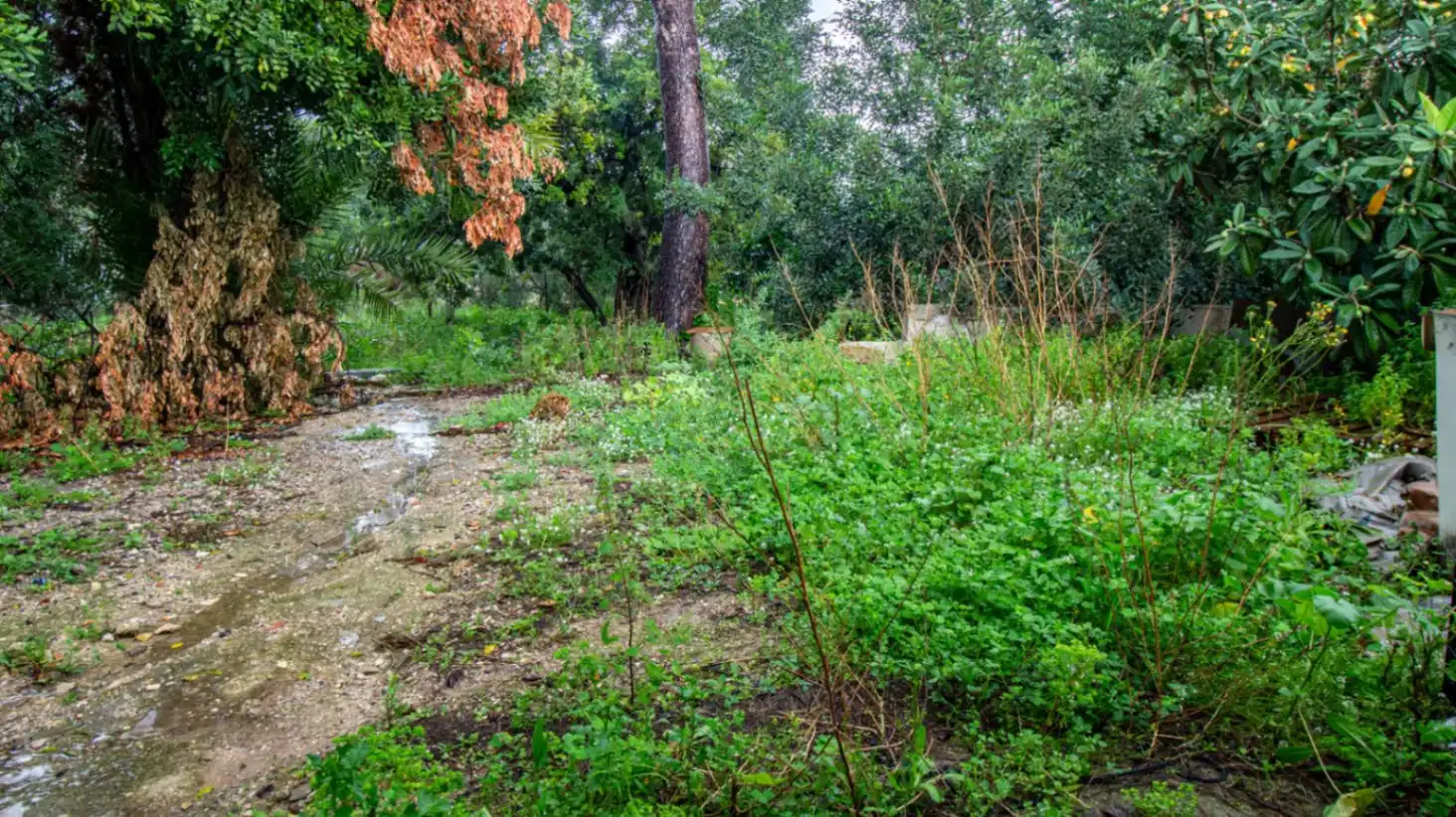 Casa o chalet en venta en Tormos con Jardín privado, Terraza y Trastero