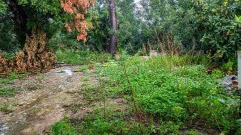 Photo 4 of House or chalet for sale in Tormos, Alicante