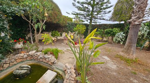 Foto 3 de Casa o xalet en venda a Zona Carrefour - Urbanizaciones, Torrevieja