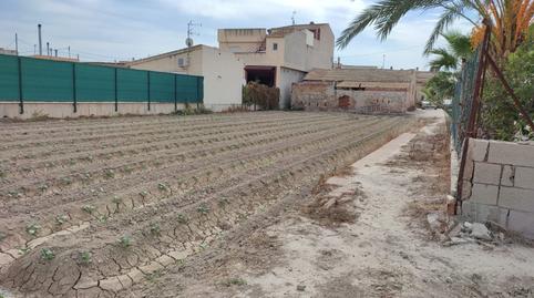 Foto 2 de Finca rústica en venta en Montepinar - La Aparecida - Raiguero, Alicante