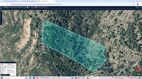 Foto 3 de Terreno en venta en Ensanche - Parque Santa Rosa, Castellón de la Plana / Castelló de la Plana