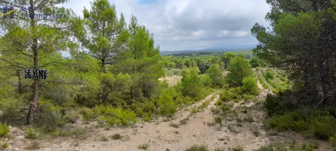 Rustikales Grundstück zum Verkauf in Requena, imagen 3