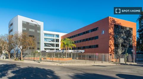 Photo 2 of House or chalet to share in Pedro Salvador - Las Palmeritas, Sevilla