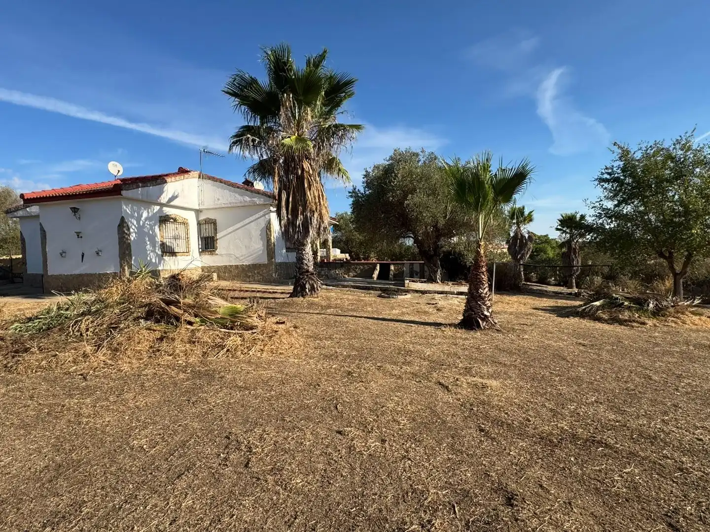 Casa o xalet en venda en Sanlúcar la Mayor, Sevilla