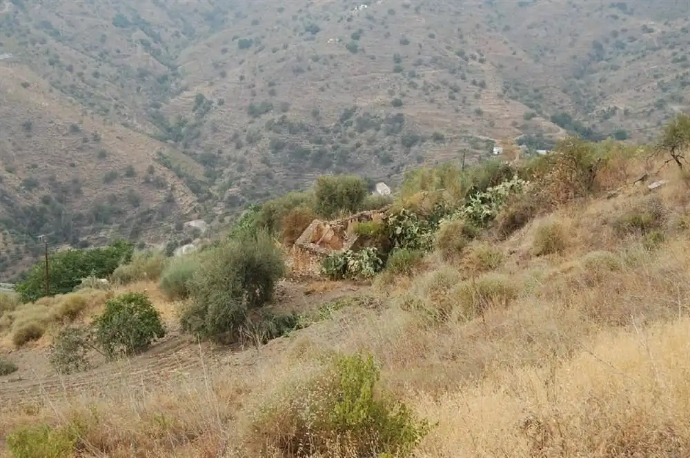 Terreny rústic en venda a Sayalonga, imagen 13