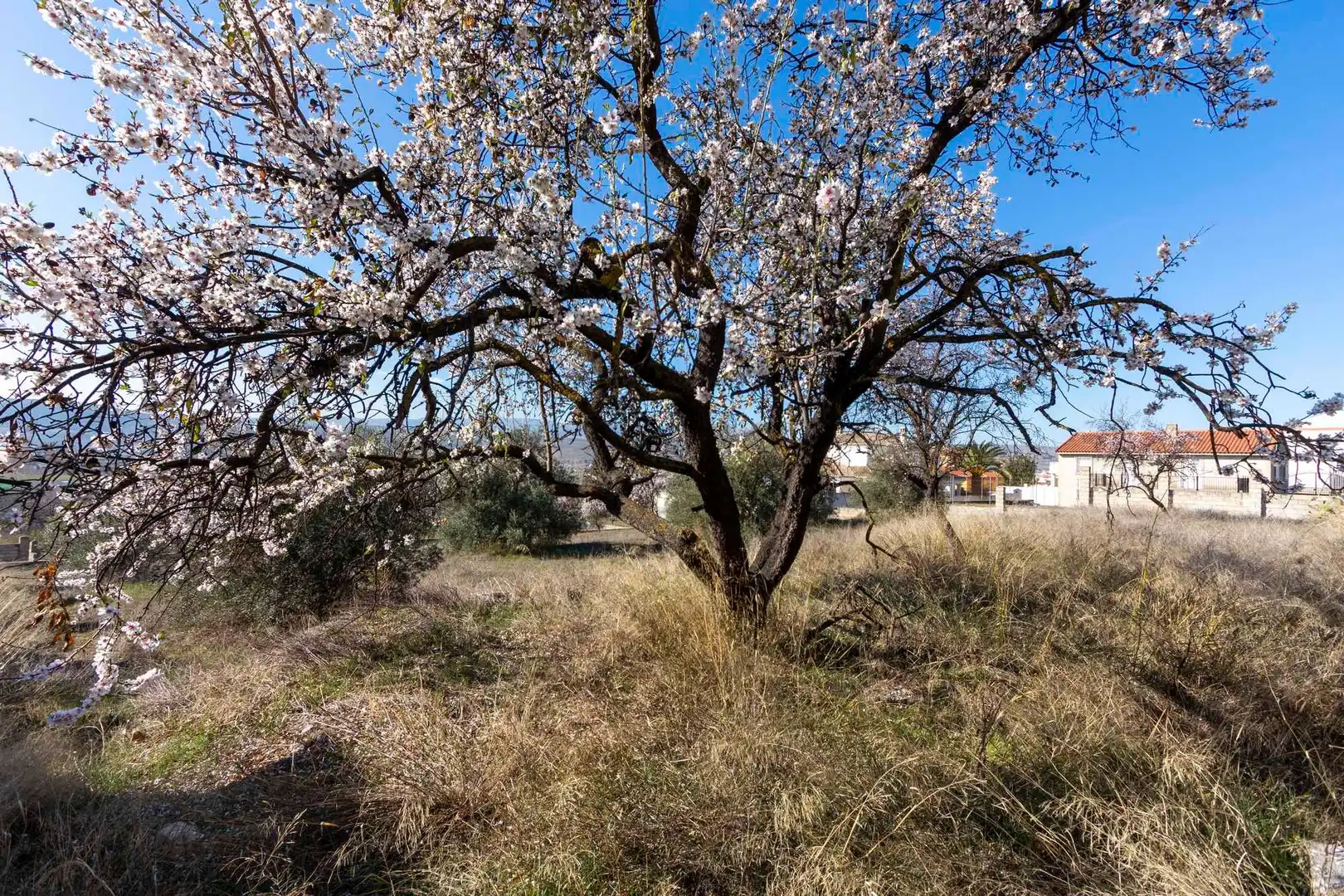 Residential land for sale in Avenida de Andalucía 201, imagen 10