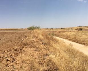 Land for sale in Palomeque