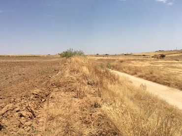 Terreno rustico in vendita a Avenida Castilla la Mancha 2