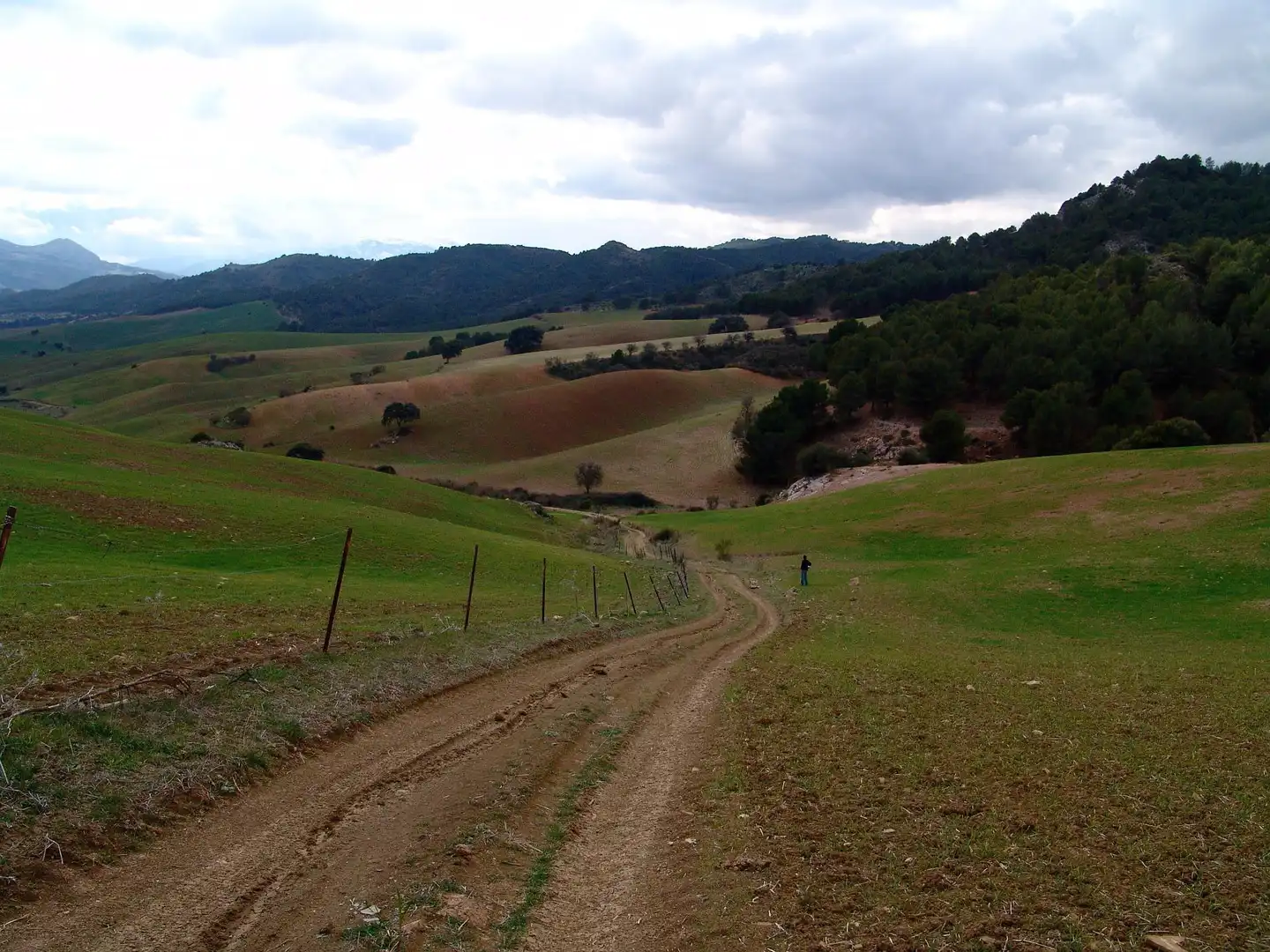 Terreno residenziale in vendita a Ardales, imagen 2