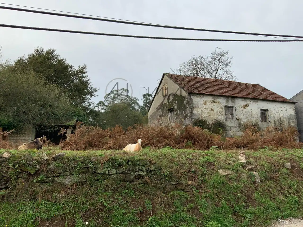 Casa o xalet en venda en Mos amb Jardí privat
