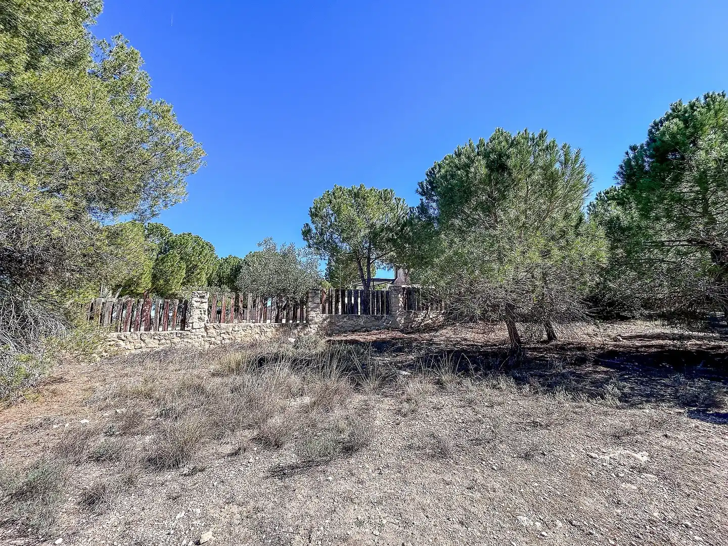 Casa en venta en Biar, imagen 45