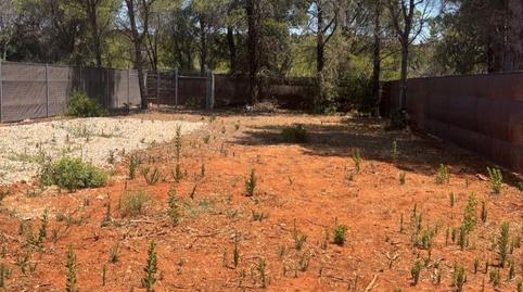 Photo 4 of Land for sale in Camino Colada de Fuente Amarga, Las Lagunas - Campano, Chiclana de la Frontera