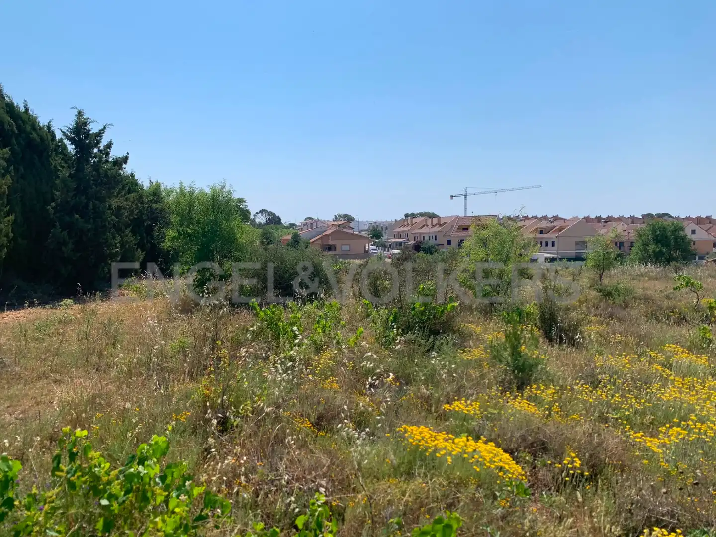 Terreny rústic en venda a Requena, imagen 15