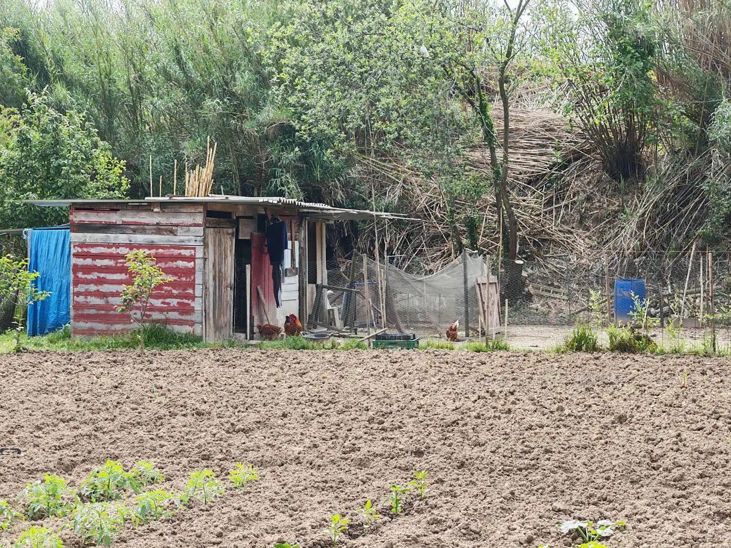 Grundstücke und Bauplätze zum Verkauf in Residencial Blanes - Vistamar, imagen 12