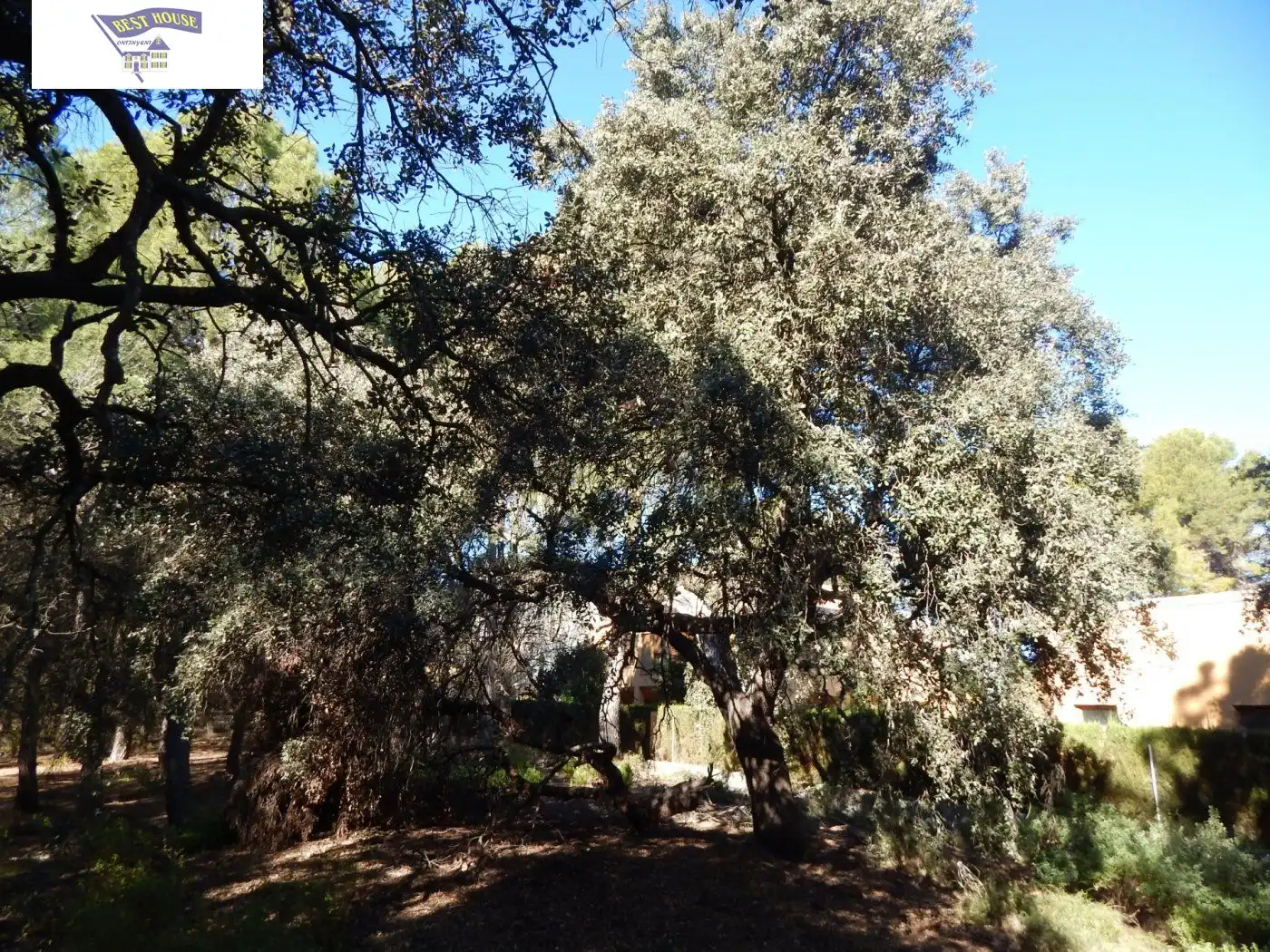 Garden of Residential for sale in Ontinyent