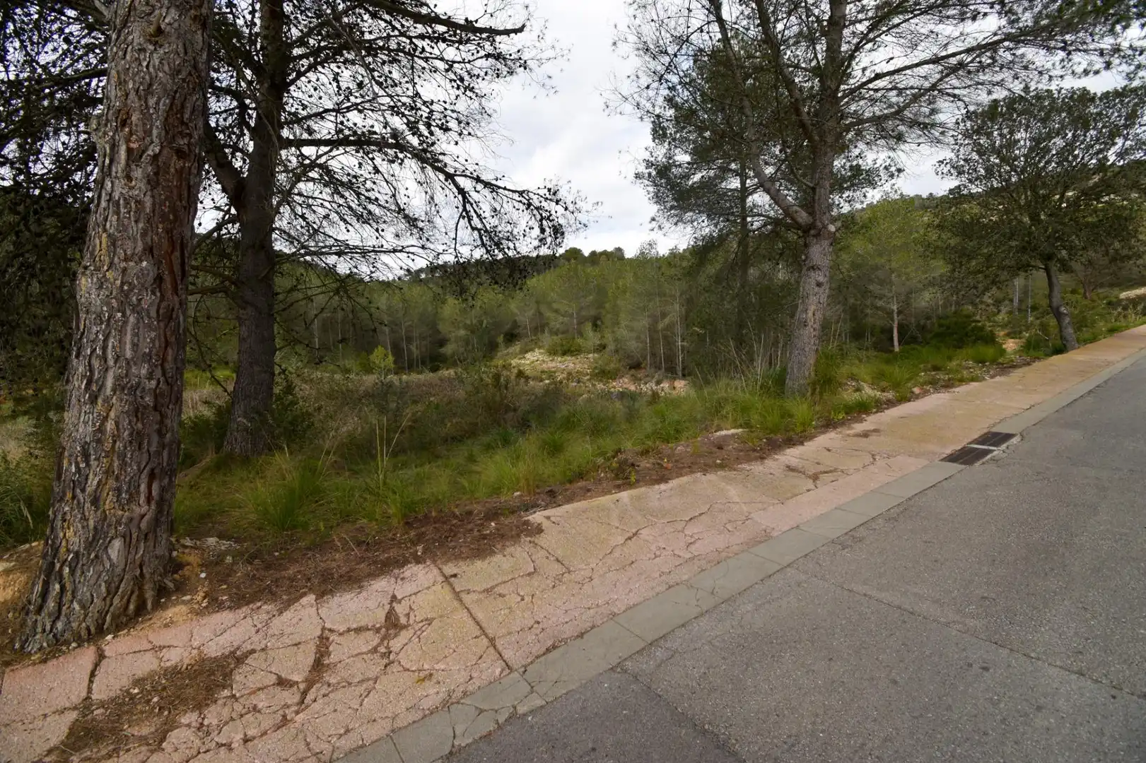 Terreno residencial en venta en Olivella, imagen 5