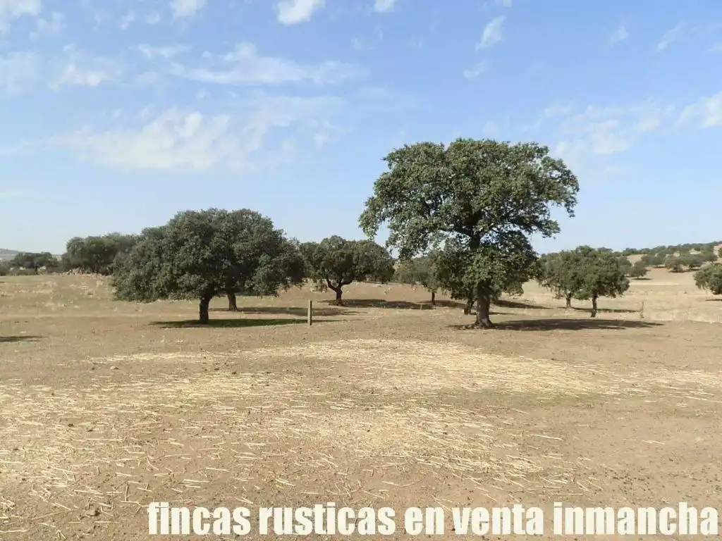 Terreni e lotti in vendita a Peñalsordo, imagen 5
