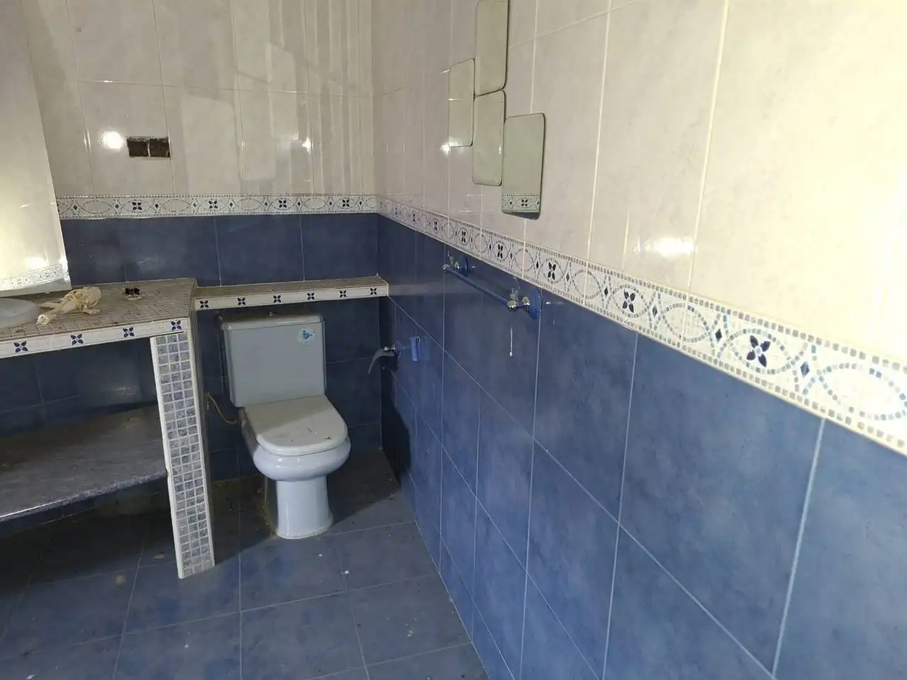 Villa avec jardin à vendre à Calle Toledo, imagen 8