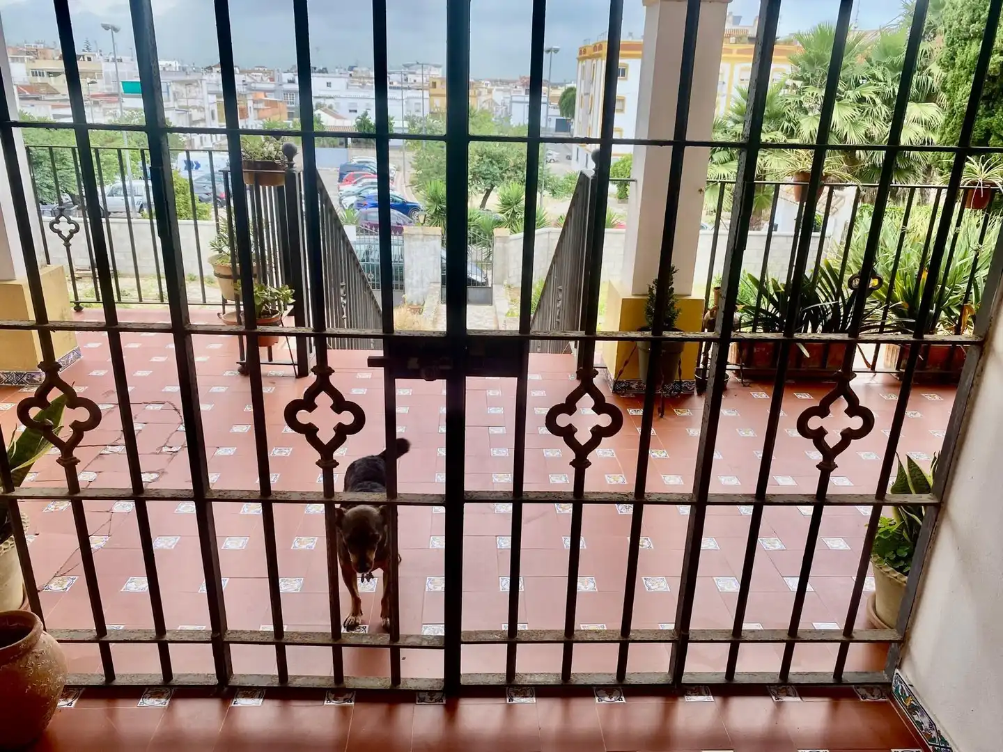 Vista exterior de Casa o chalet en venta en Sanlúcar de Barrameda con Jardín privado, Terraza y Piscina comunitaria