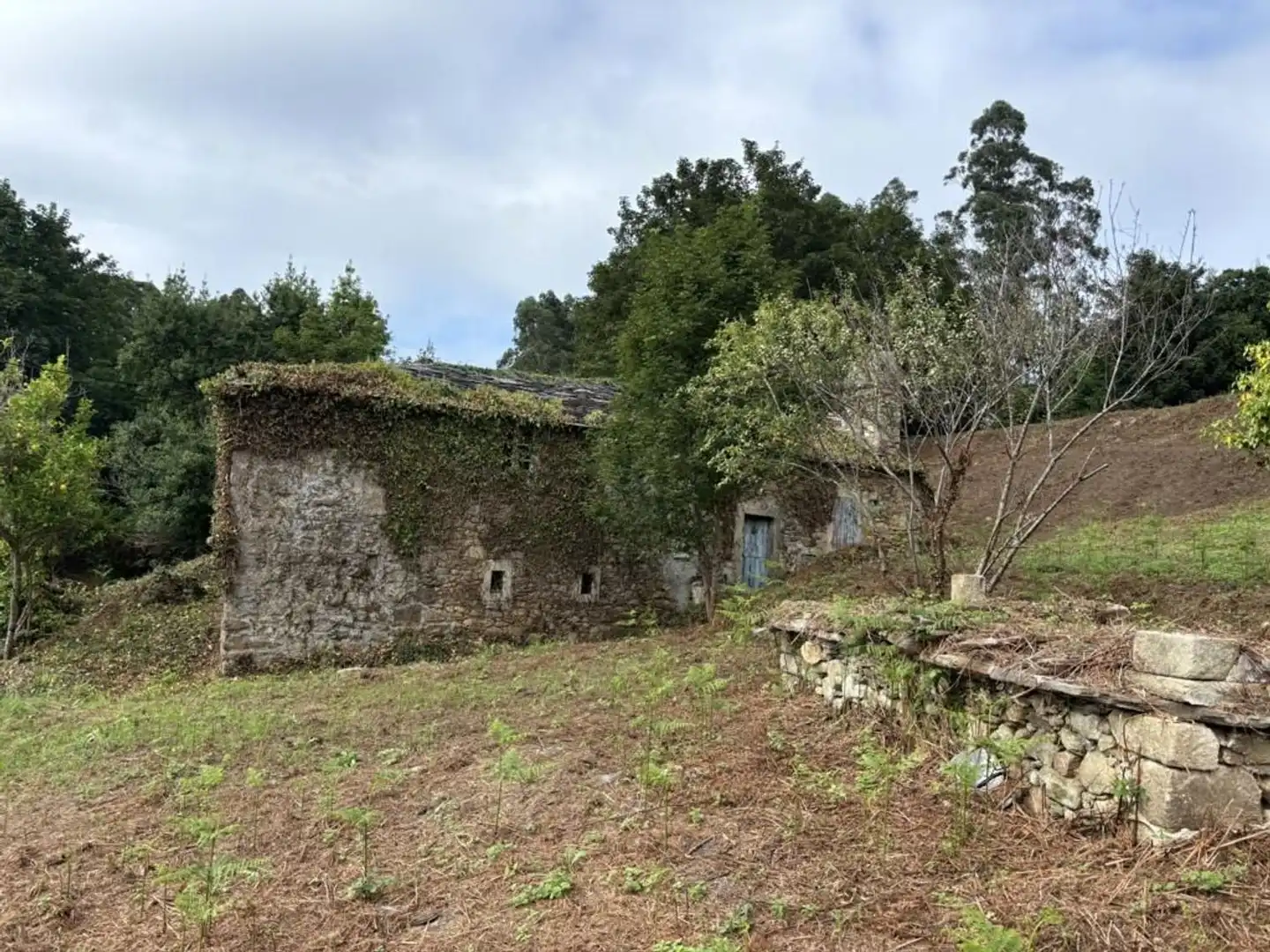 Exterior view of Country homes for sale in O Vicedo 