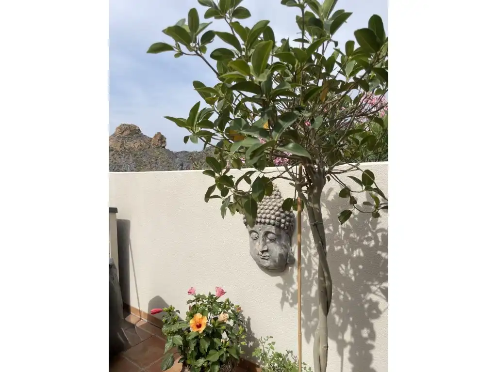 Jardí de Apartament en venda en Cuevas del Almanzora amb Aire condicionat i Terrassa