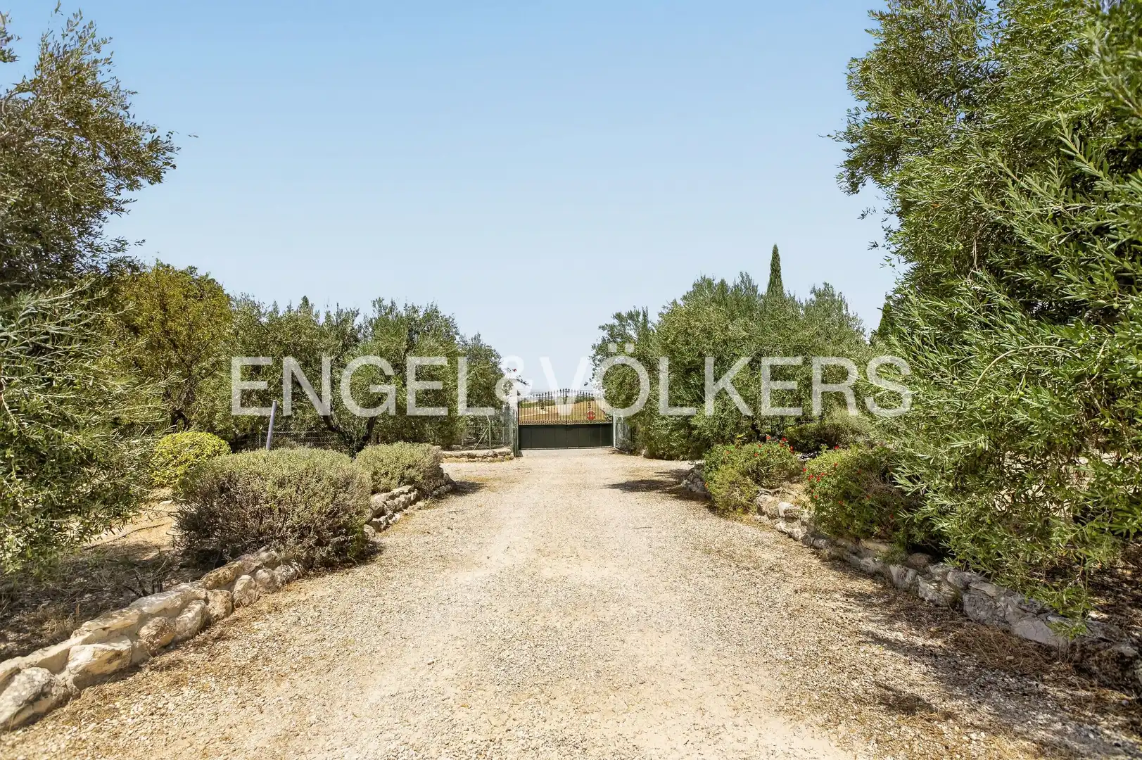 Vista exterior de Casa o chalet en venta en Osuna con Calefacción, Jardín privado y Piscina