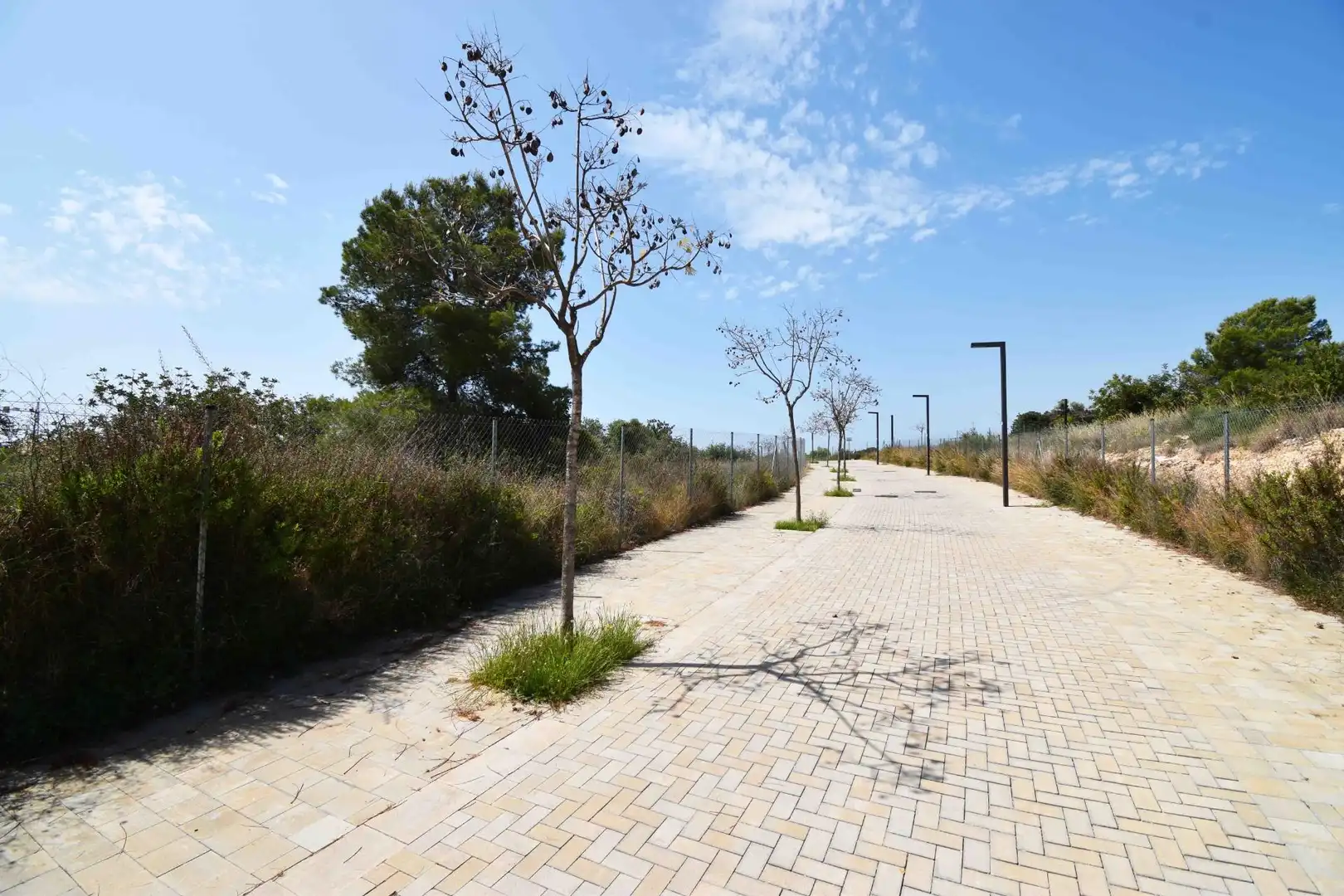 Terreny residencial en venda a La Plana, imagen 3