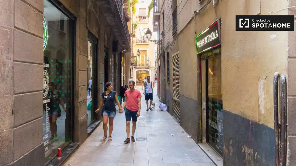 Flat with terrace to rent in Ciutat Vella, imagen 18