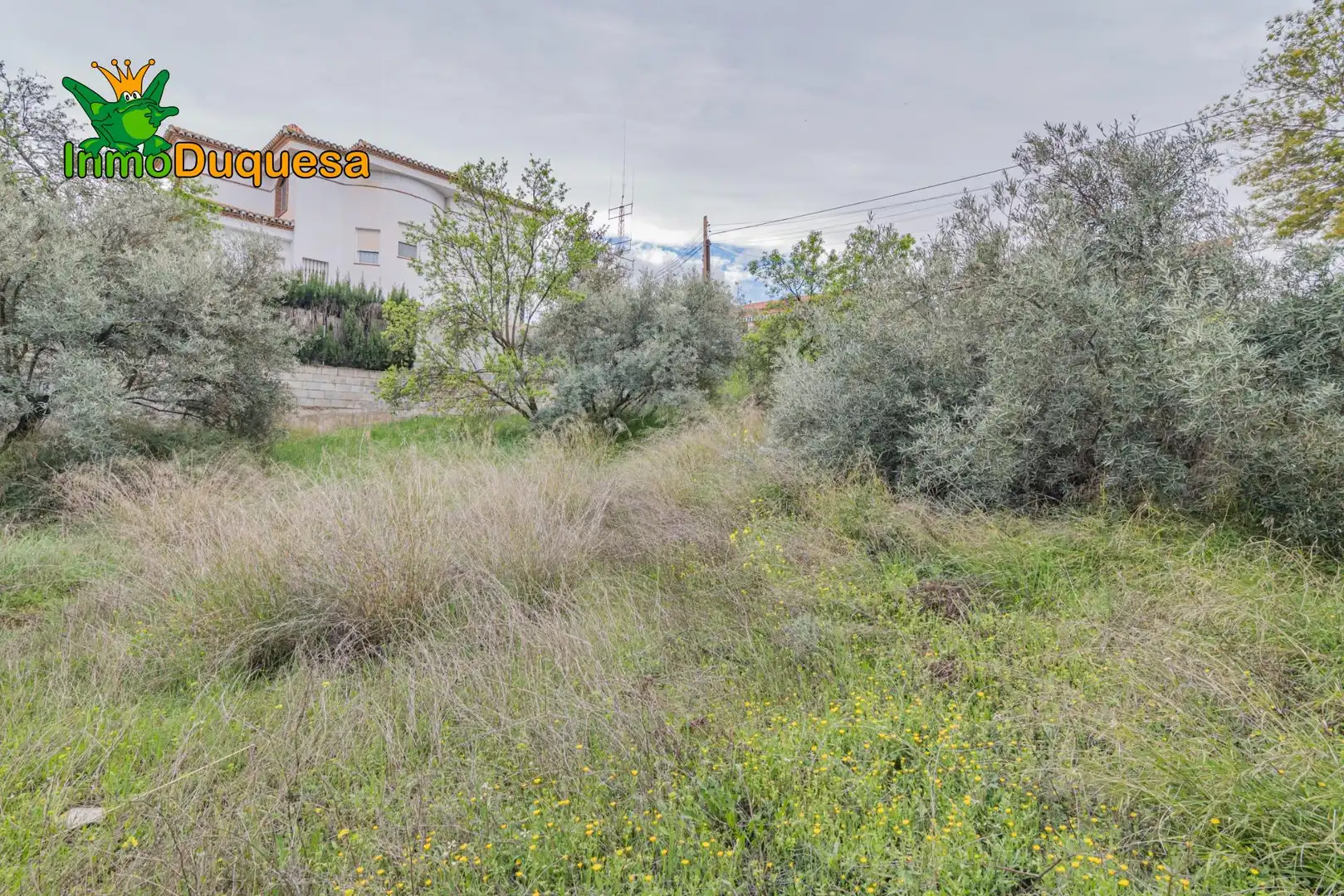 Terreni e lotti in vendita a Cúllar Vega, imagen 13