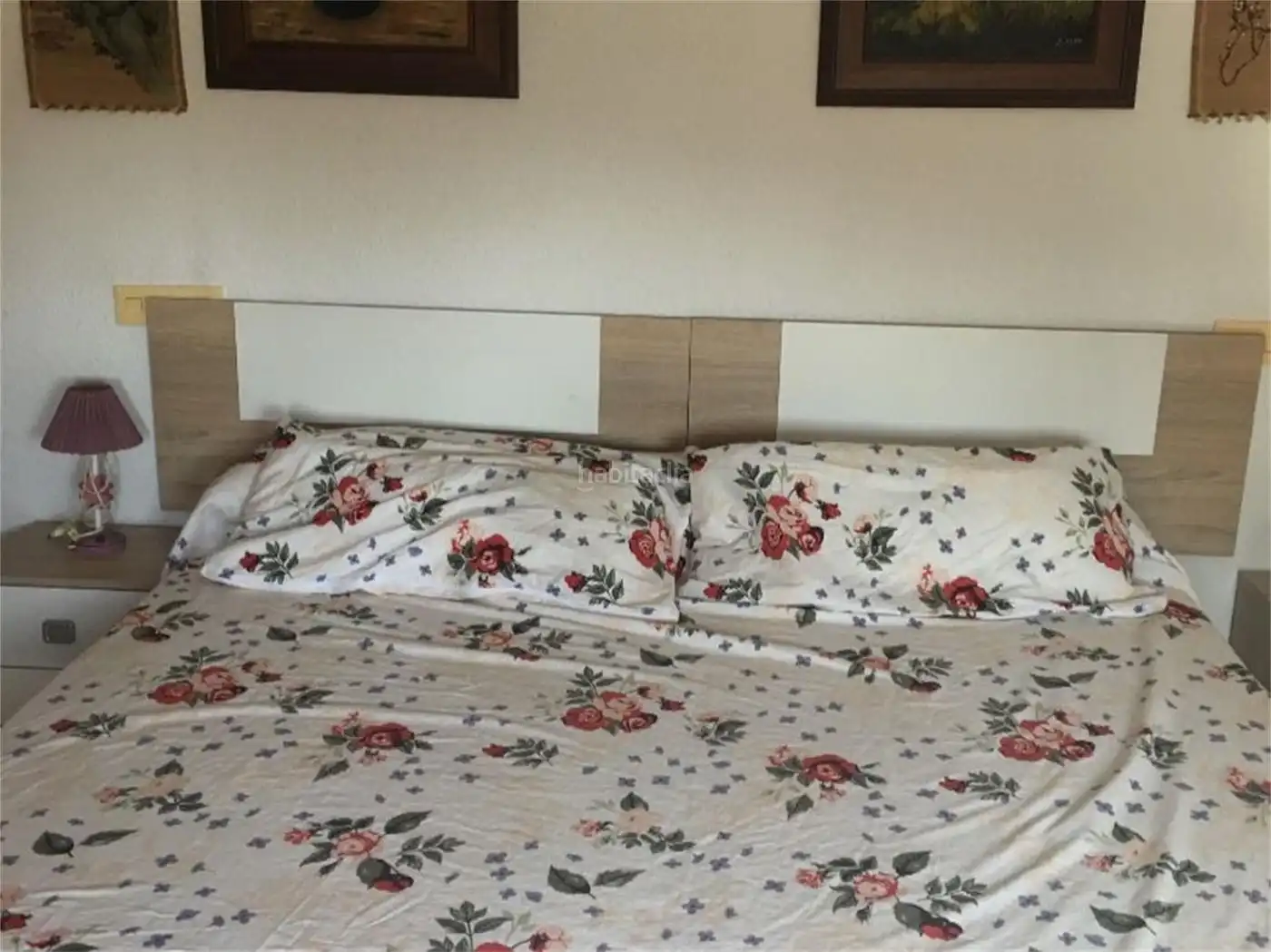 Maison à vendre à Calle los Geranios 19, imagen 17