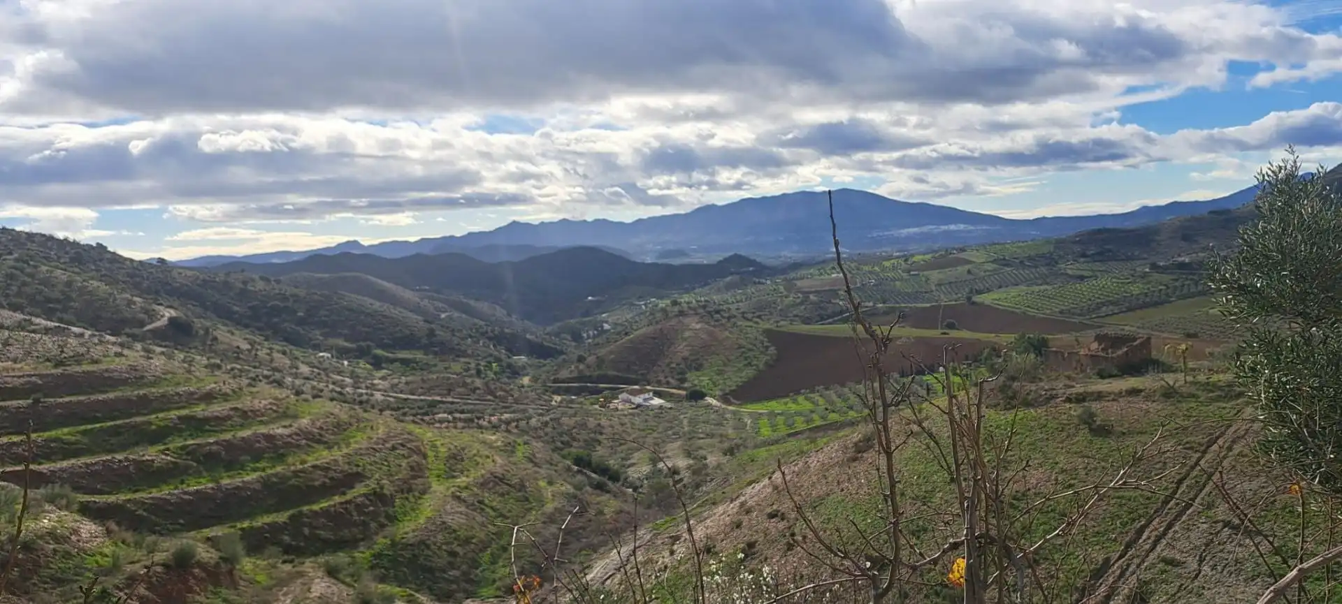 Vista exterior de Residencial en venta en Cártama