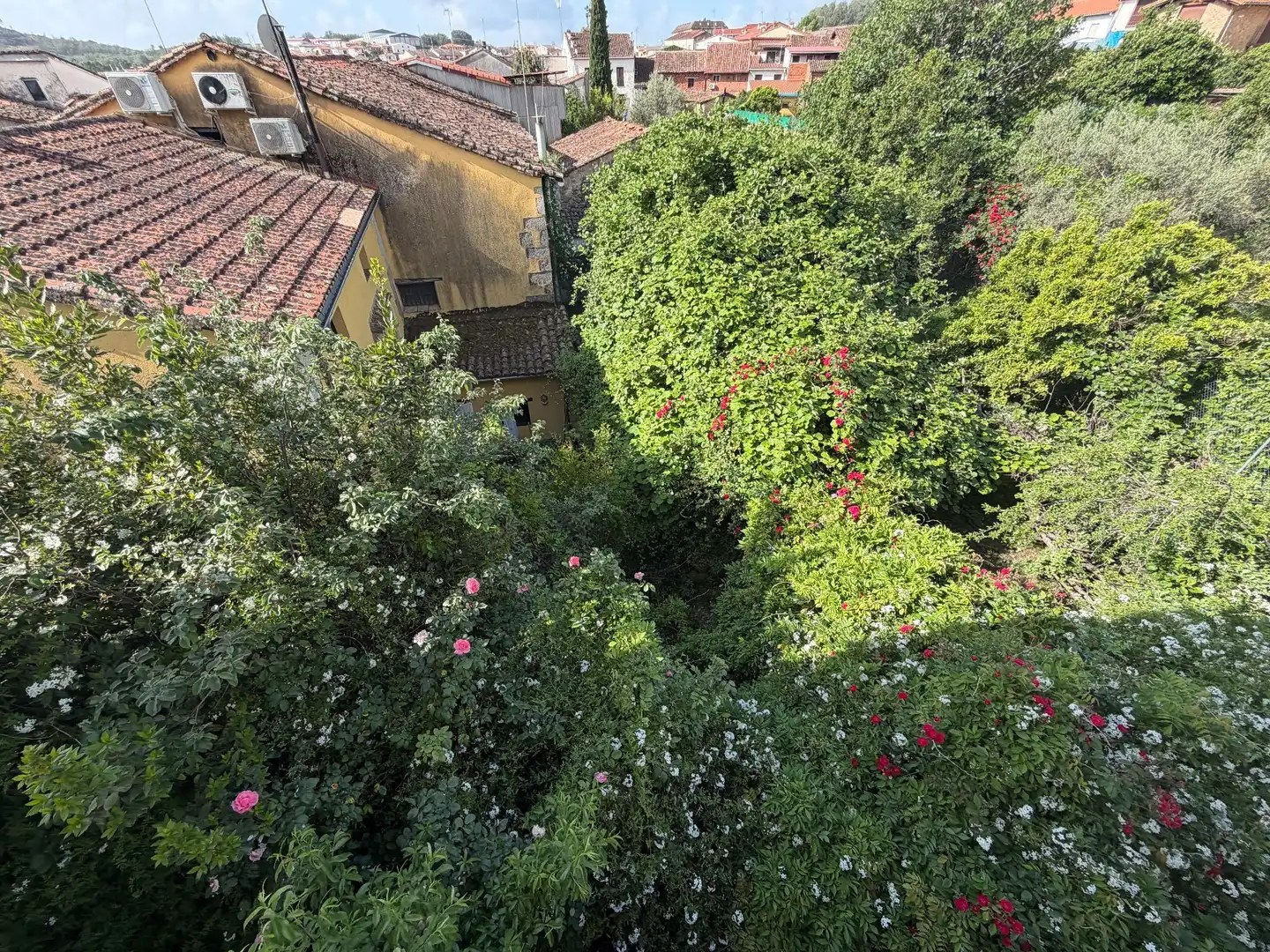 Hotel for sale in Cuacos de Yuste, imagen 19