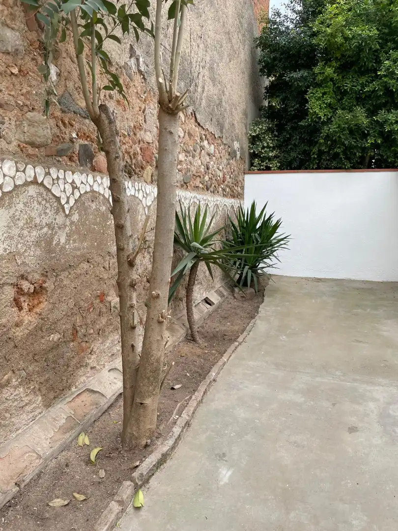 Jardí de Planta baixa en venda en Sabadell
