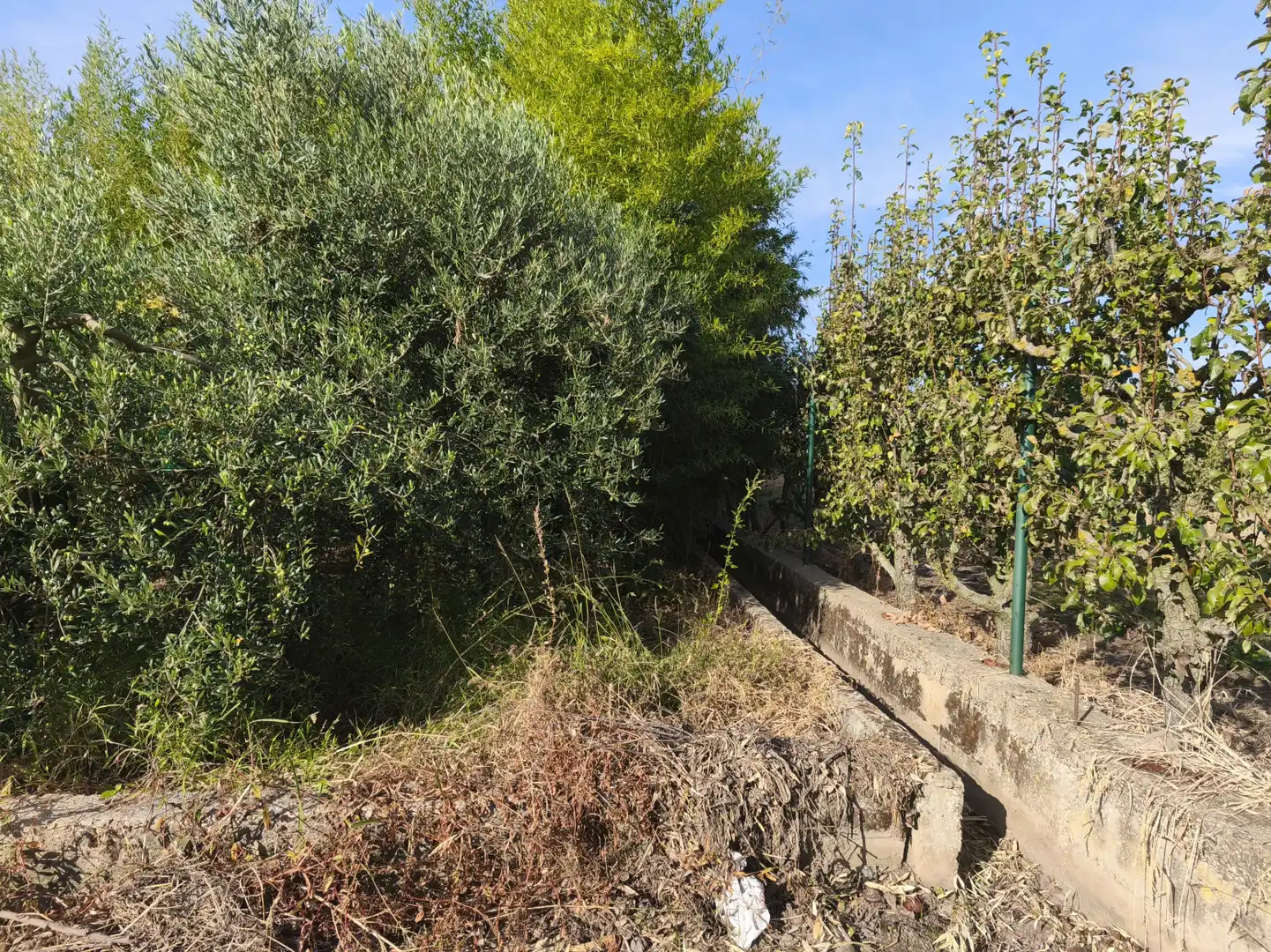 Terreni e lotti in vendita a La Portalada - Varea, imagen 35