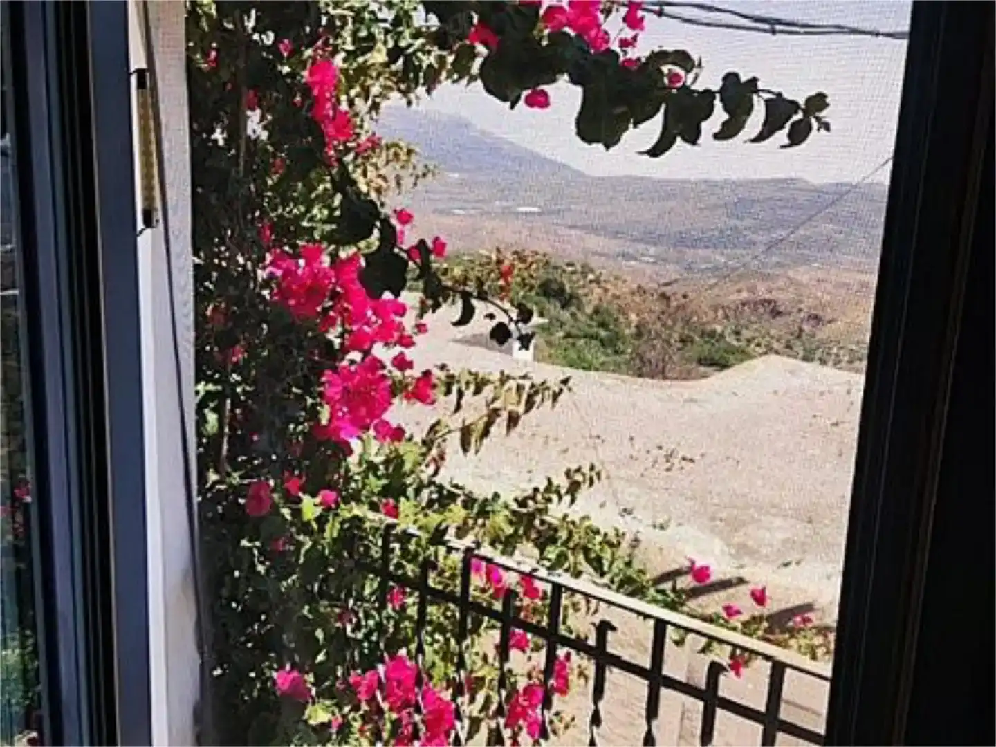 Exterior view of Flat for sale in Nevada  with Private garden, Furnished and Balcony