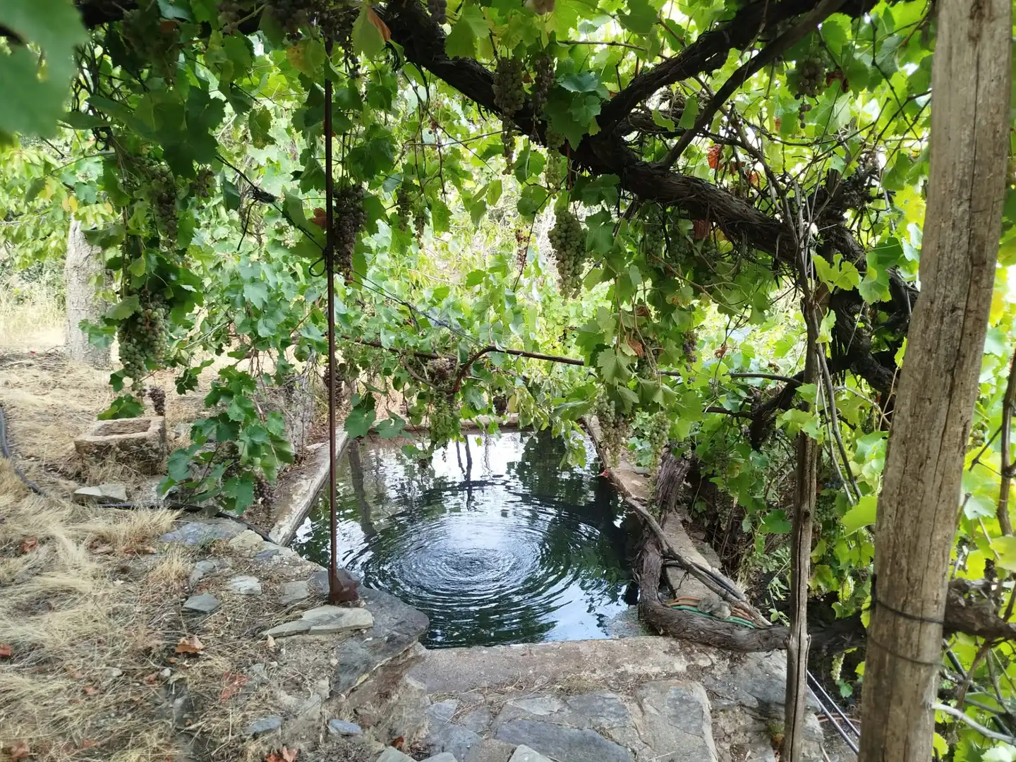 Rural land for sale in Alpujarra de la Sierra, imagen 26