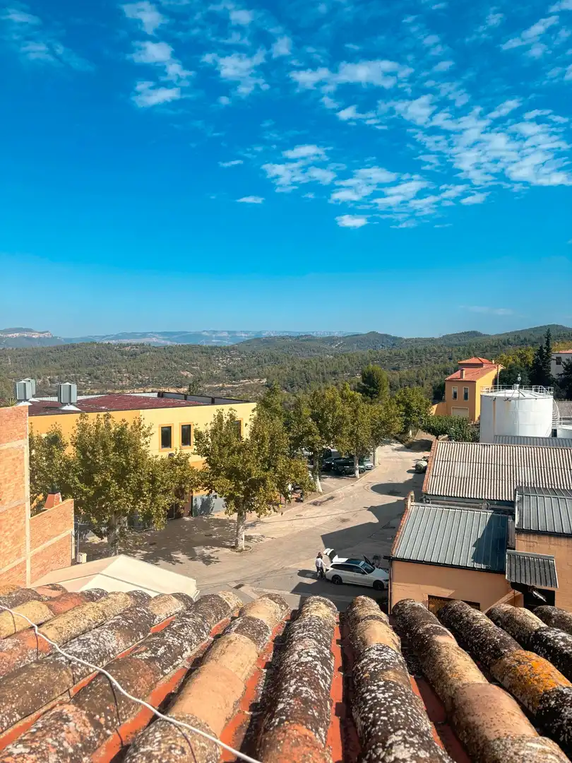 Exterior view of Country homes for sale in El Masroig