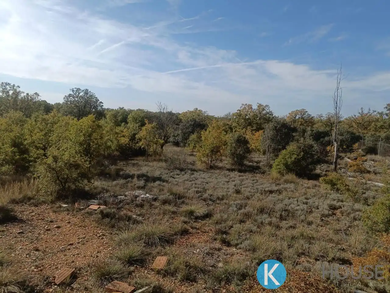 Land for sale in Pastrana