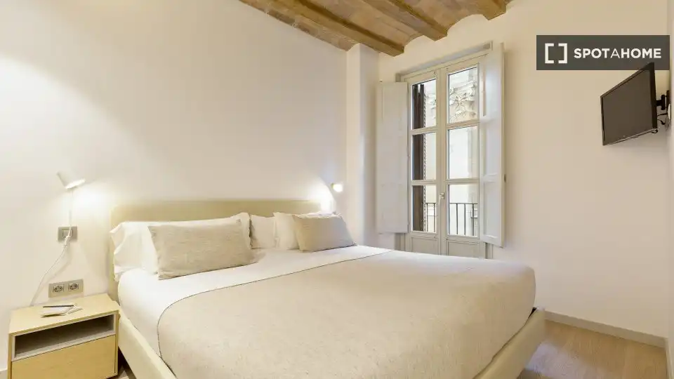 Flat with terrace to rent in Ciutat Vella, imagen 17