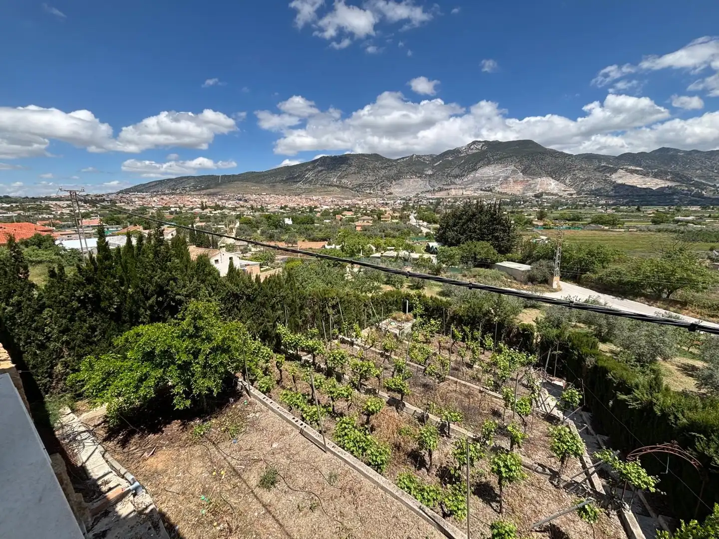 Detached house with pool for sale in Camino CAMINO VIEJO DE MOTRIL, imagen 66