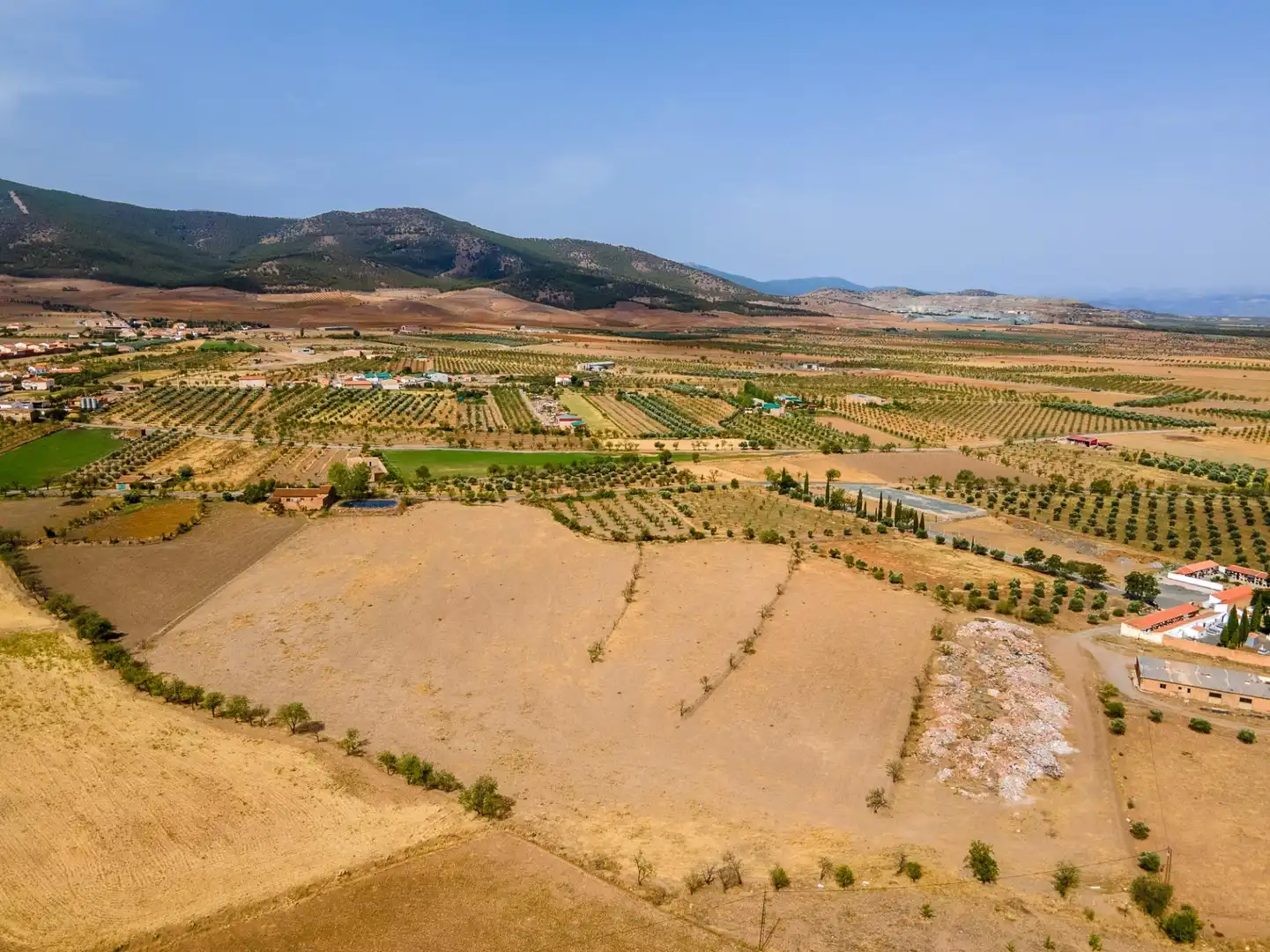 Terreno en venta en Cogollos de Guadix