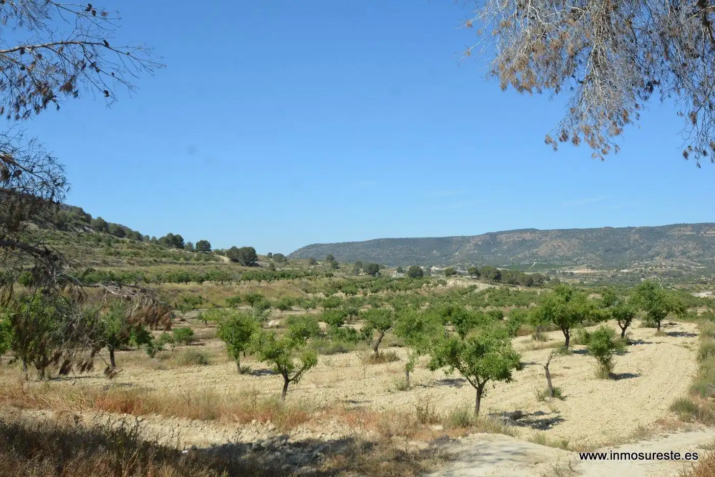 Terreno rustico in vendita a Campo de Murcia, imagen 8