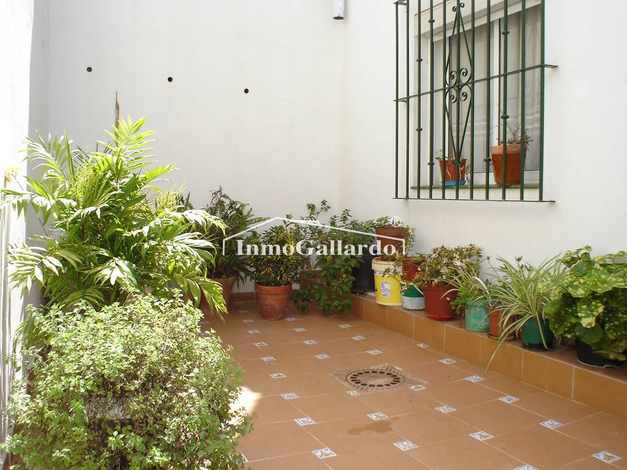 Garden of House or chalet for sale in Málaga Capital  with Terrace