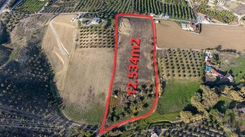 Photo 2 of Land for sale in Polígono 19, 19, Alquería - Torrealquería, Alhaurín de la Torre