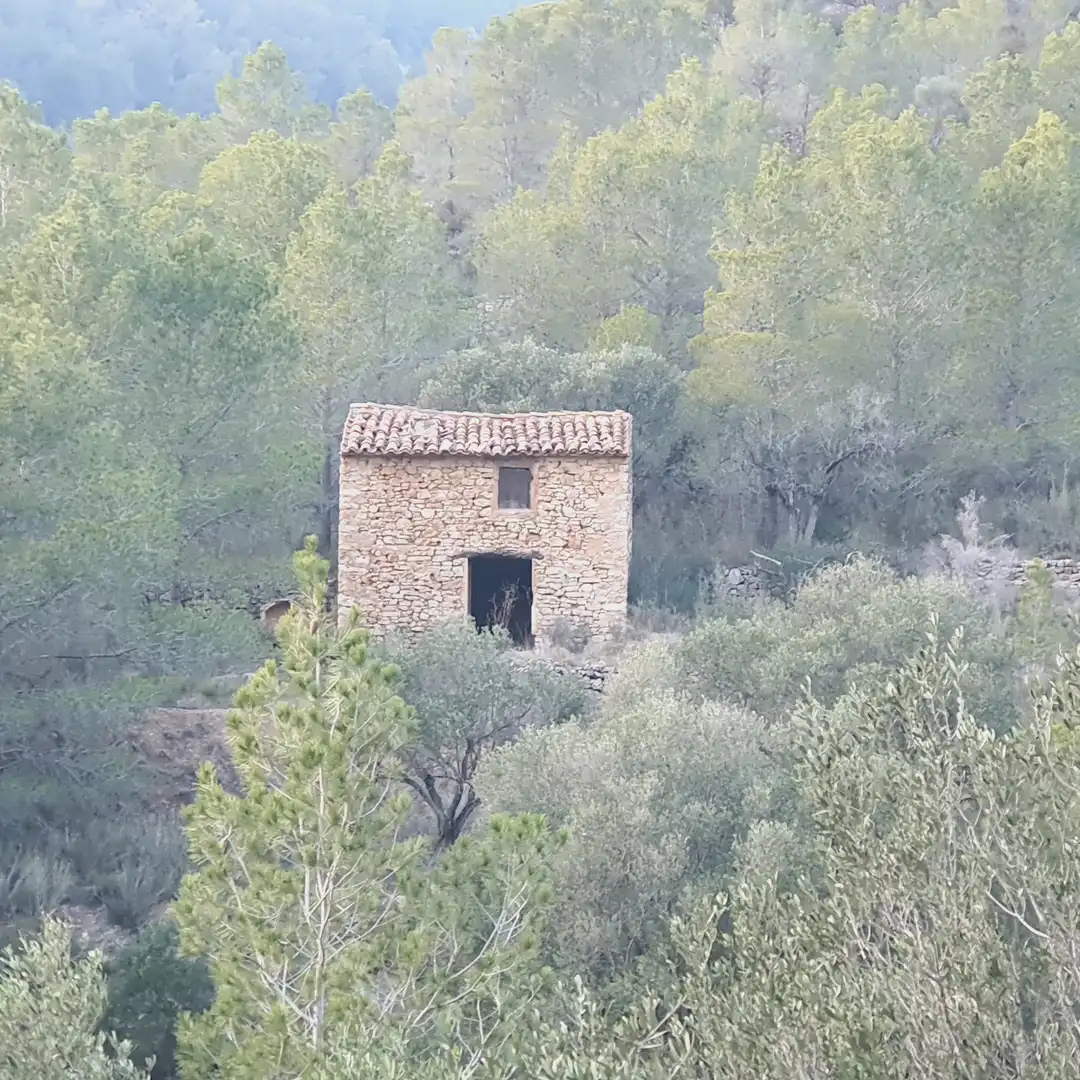 Rustikales Grundstück zum Verkauf in El Pinell de Brai, imagen 29