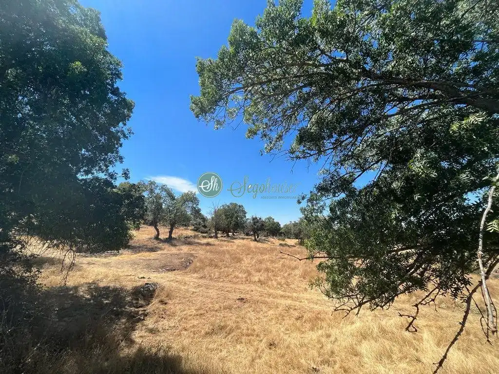 Terreny rústic en venda a Navas de Riofrío, imagen 5