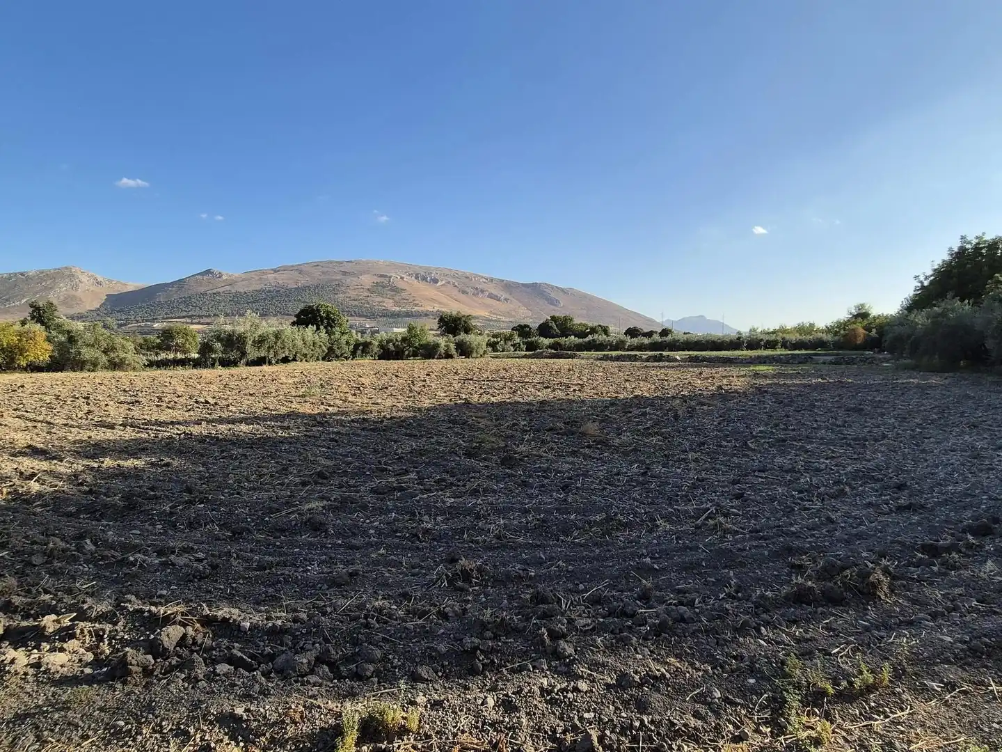 Terreny rústic en venda a Loja, imagen 14