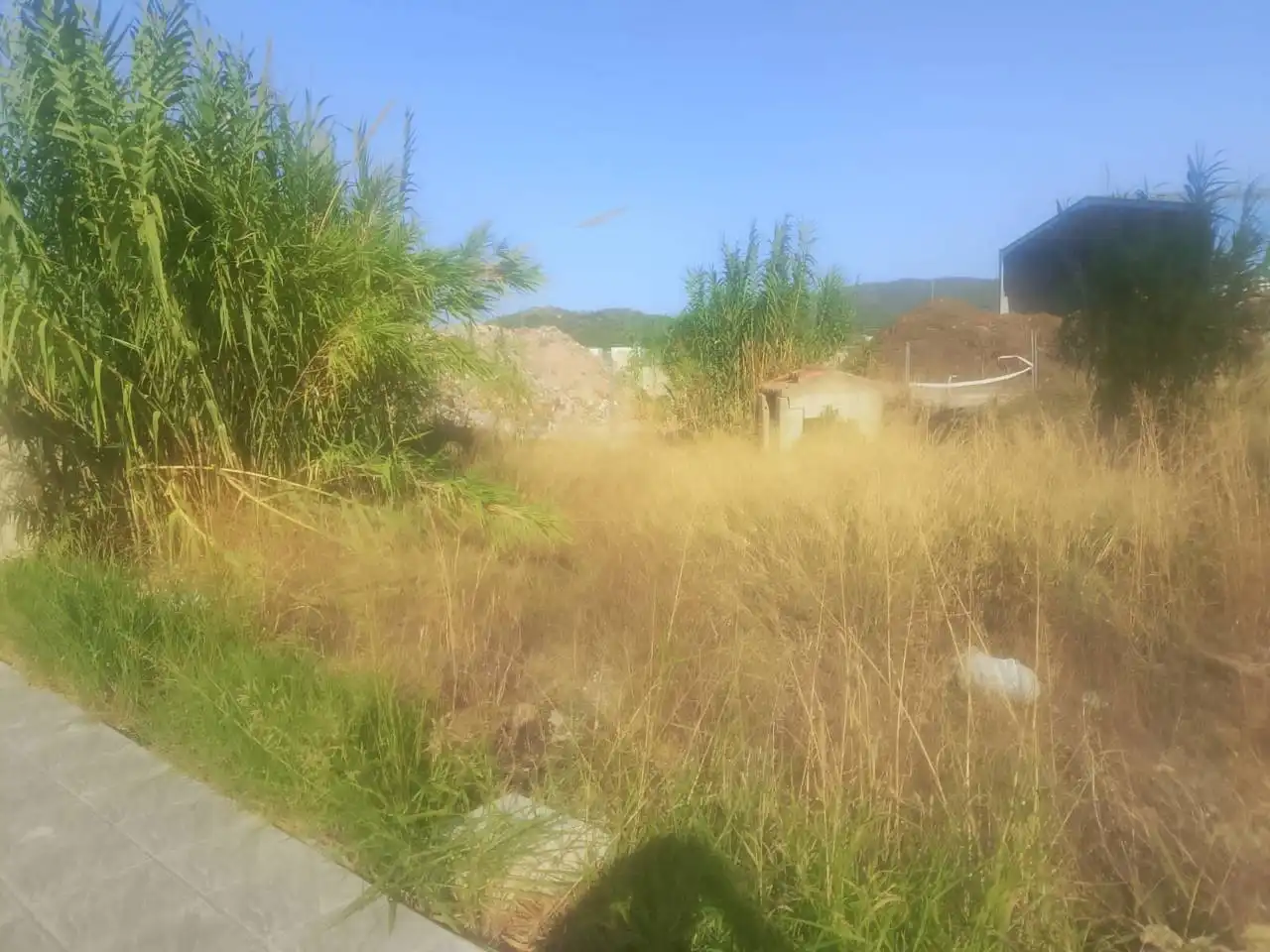 Industrial land for sale in Ador