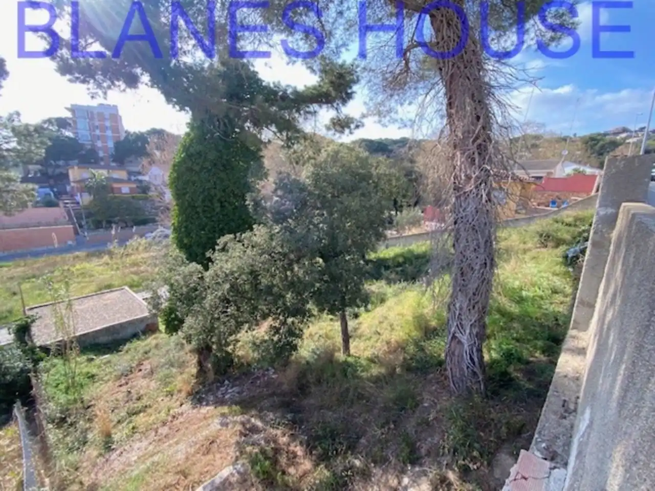 Terreno rustico in vendita a Calle Mestral, imagen 6